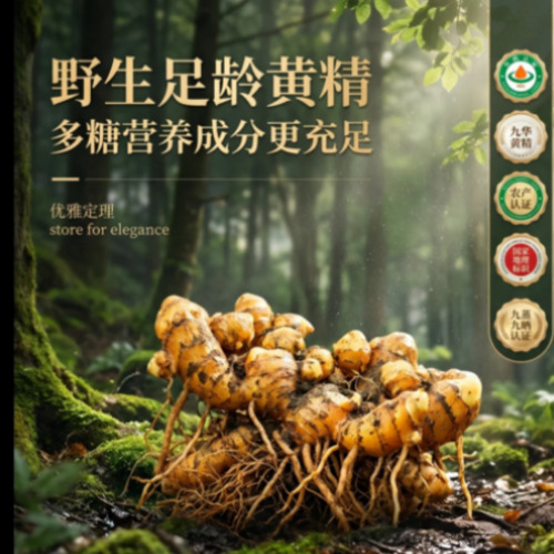 菁选灵创平台创作服务展示